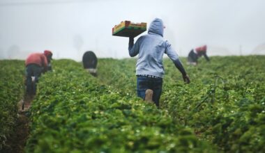 Exploring Fruit-Picking Jobs in Canada